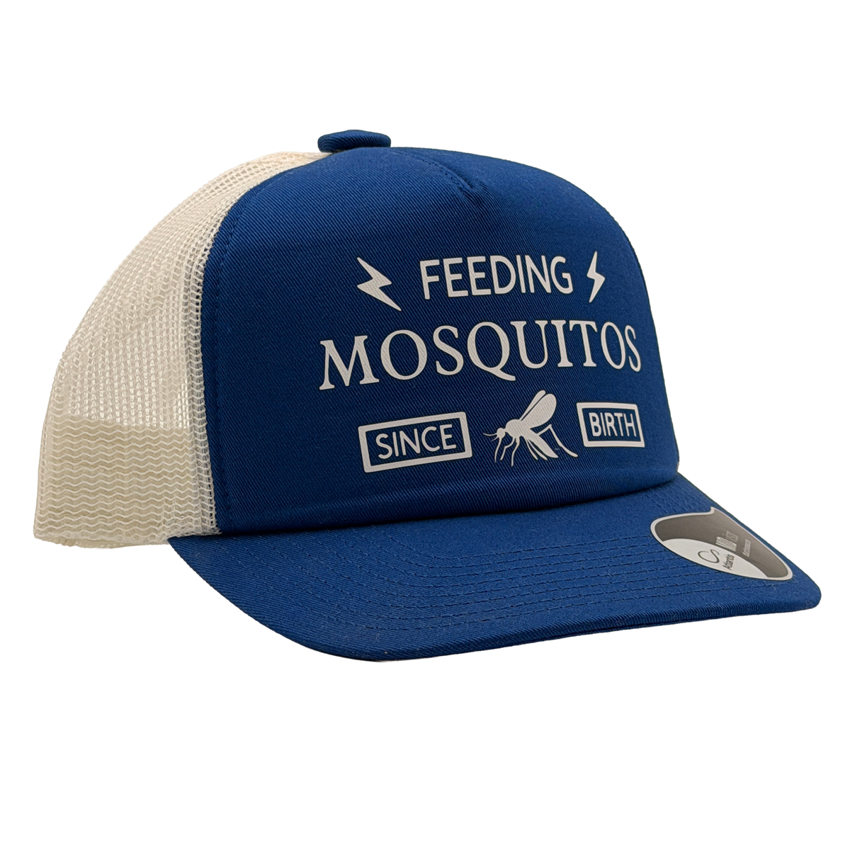 Feeding mosquitos